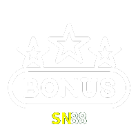  SN88